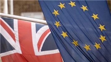 Großbritannien wird die Importe aus der EU kontrollieren - mit möglicherweise weitreichenden Folgen für die eigene Wirtschaft.