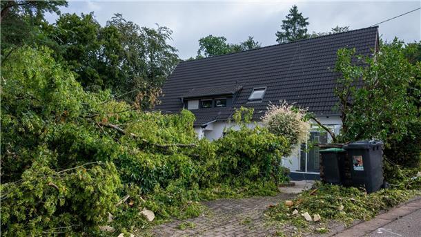 Verletzte nach heftigen Unwettern im Süden und Westen Große Äste liegen am Tag nach dem Sturm in Asweiler im Saarland am Boden.