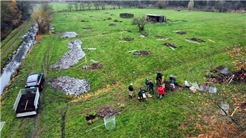 Große Fläche, viele Löcher: Auf der Rinderweide am Erlenteich in Elsfleth können alte Apfelsorten neue Wurzeln schlagen.