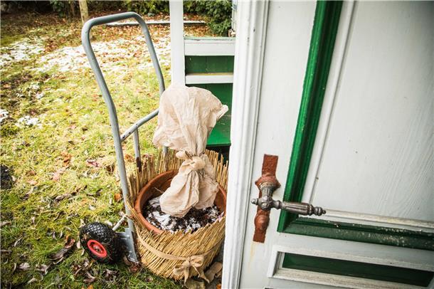 Gut geschützt: Umwickelt mit Vlies und im Winterquartier überstehen empfindliche Pflanzen die kalte Jahreszeit gut.