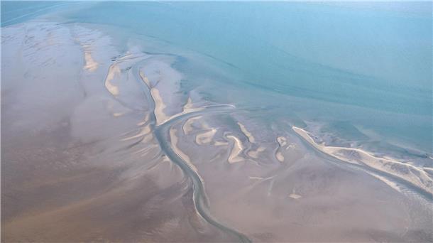 Umweltverband: Kinderstube für Hundshaie liegt im Wattenmeer Hai-Experten haben in der Nordsee zwischen der ostfriesischen Insel Borkum und den westfriesischen Inseln in den Niederlanden ein Gebiet eingegrenzt, in dem sich regelmäßig neugeborene und junge Hundshaie aufhalten. (Archivbild)