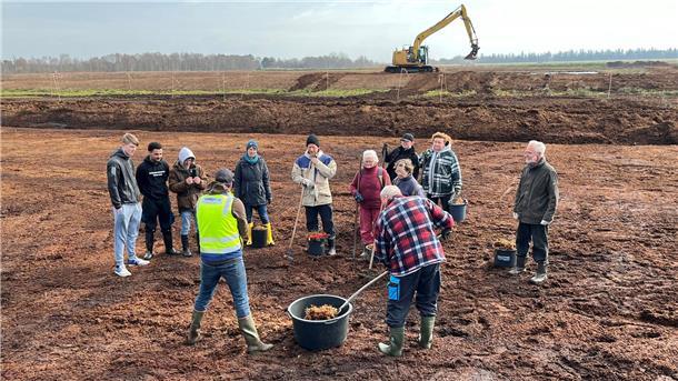 Handarbeit beim größten Moorvernässungsprojekt Europas: Freiwillige Helfer verteilen im Ahlenmoor Torfmoose, die hier jetzt gezüchtet werden.