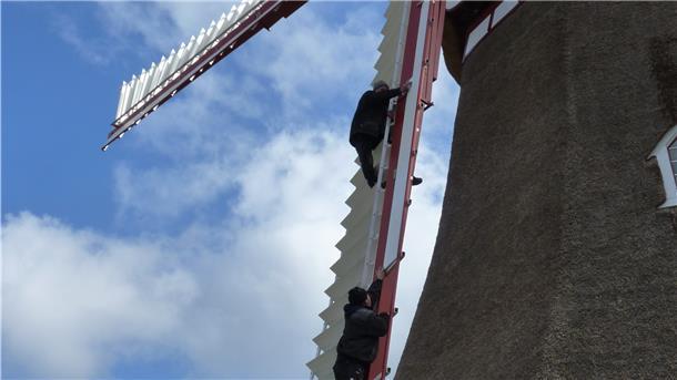 Handwerker erklimmen die Mühle, um ein Windbrett nach dem anderen einzusetzen. Jetzt sind die Jalousienflügel wieder komplett.
