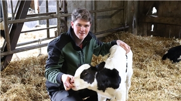 Mann im Kuhstall mit Stroh und Kalb. Hannes Tramm kümmert sich um ein Kalb.