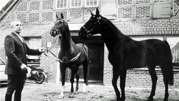 Hans Bardenhagen mit den Hengsten Anfang der 1970er Jahre vor dem alten Saal der Gaststätte Würger.