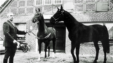 Hans Bardenhagen mit den Hengsten Anfang der 1970er Jahre vor dem alten Saal der Gaststätte Würger.