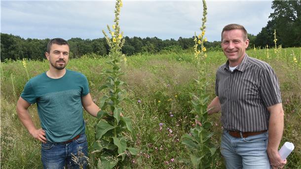 Das Foto zeigt Harald Hauschild und Agraringenieur Sebastian Gebauer in einem Wildpflanzenacker. 