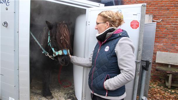 Eine Frau und ein Pferd im Anhänger.