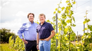 Die Neu-Winzer Helmut Bäßmann (l) und Günter Depke stehen auf ihrer Weinplantage in der Region Hannover.