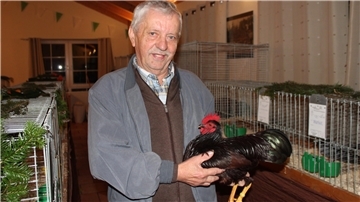 Helmut Merz präsentiert ein Rhodeländer-Zwerghuhn
