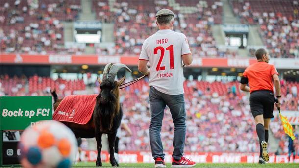 Hennes ist bereits in neunter Generation das Maskottchen beim FC. 