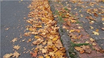 Herbstlaub an Geh- und Radwegen. In der Regel müssen Anwohner das Laub beseitigen.