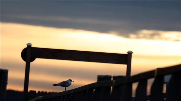 Bilder des Tages Herbstlicher Sonnenaufgang am Ammersee