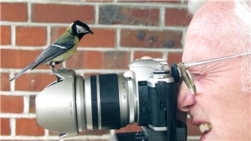 Hermann Tödter mit einer Kohlmeise: Der Zevener hat viele Tiere beobachtet und fotografiert.