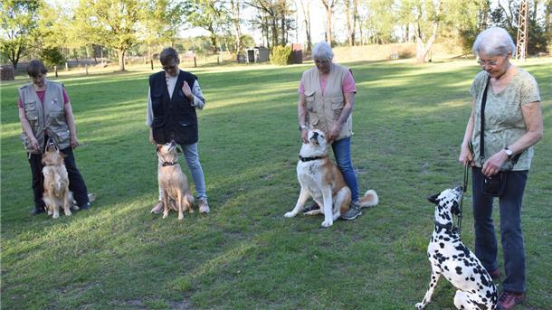 Vier Frauen und ihre Hunde stehen nebeneinander.