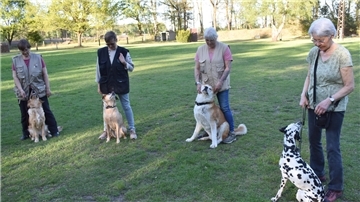 Vier Frauen und ihre Hunde stehen nebeneinander.