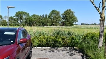 Parkplatz mit Weide in Butjadingen