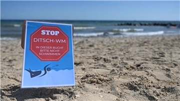 Hier an der Ostsee fand am Wochenende eine Weltmeisterschaft im Steineditschen statt.