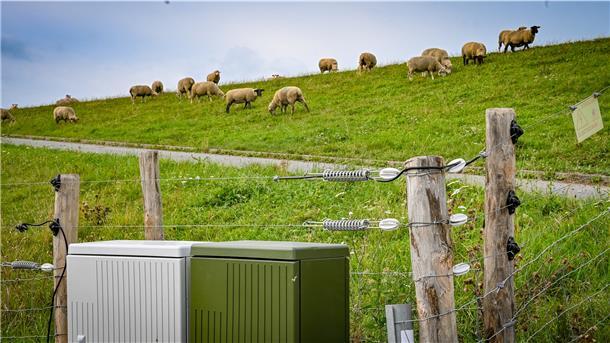 Hier ein Blick auf einen elektrischen Weidezaun am Neuenlander Lunesiel.