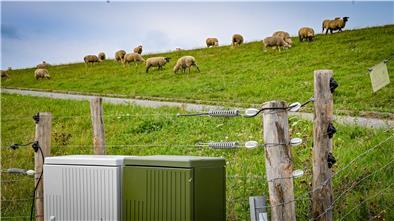 Hier ein Blick auf einen elektrischen Weidezaun am Neuenlander Lunesiel.