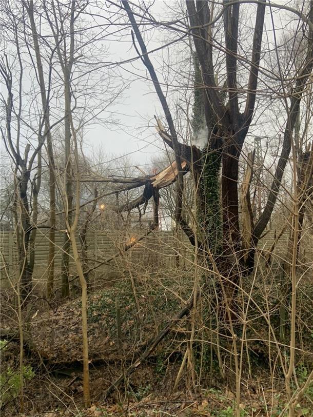 Hier in Grünhöfe sind Äste in Brand geraten, nachdem ein Baum in Richtung Bahngleise umgestürzt war.