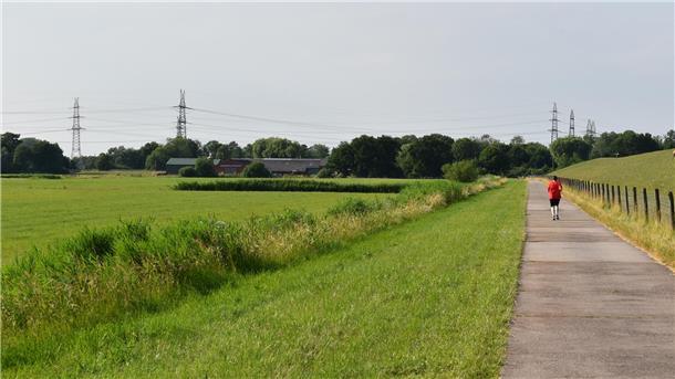 Hier in Kleinensiel, unweit der Deichschäferei und in Nachbarschaft des stillgelegten Kernkraftwerkes, sollen zwei Konverterstationen errichtet werden. Foto: Schnieder