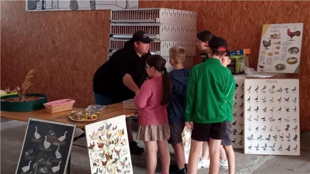 Hier informieren sich die Kinder über die verschiedenen Arten von Geflügel.