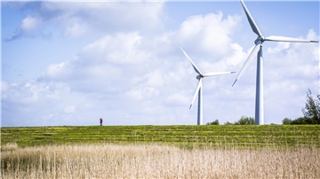 Hier soll Bremerhavens Energiehafen gebaut werden. Wann er fertig sein soll, kann niemand sagen. Aber er wird gebraucht, das sagen alle.