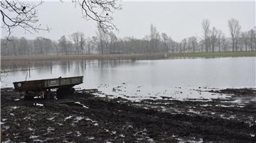 Das Foto zeigt eine überschwemmte Weide. 
