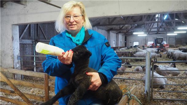 Hilke Strodthoff-Schneider gibt einem Lämmchen die Flasche.