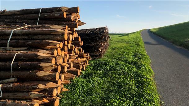 Neues Holz für den Wremer Küstenschutz Hinter dem Deich kurz vor Wremen sind Pfähle und Holzmatten gelagert. Mit dem Material wird der Küstenschutz gepflegt.