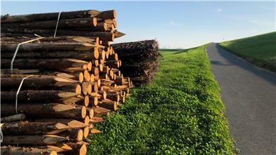 Hinter dem Deich kurz vor Wremen sind Pfähle und Holzmatten gelagert. Mit dem Material wird der Küstenschutz gepflegt.