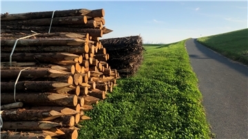 Hinter dem Deich kurz vor Wremen sind Pfähle und Holzmatten gelagert. Mit dem Material wird der Küstenschutz gepflegt.