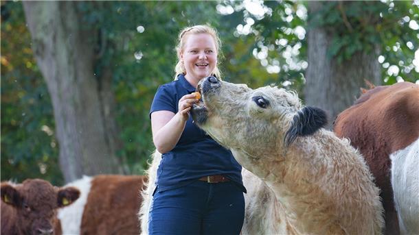 Hjördis Plate züchtet zottelige Galloways. Auf Weiden rund um ihren Hof in Otterndorf werden die Tiere groß.