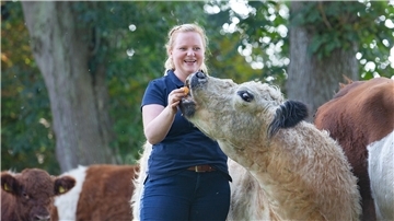 Hjördis Plate züchtet zottelige Galloways. Auf Weiden rund um ihren Hof in Otterndorf werden die Tiere groß.