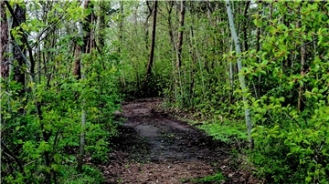 Park in Holßel