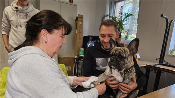 Erste Hilfe für Hunde Hund „Buddy“ bekommt zur Übung seine Pfote verbunden.