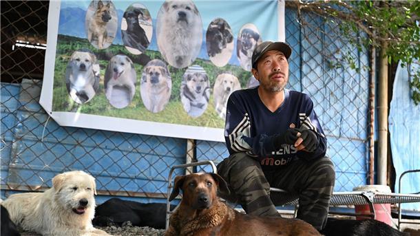 Haustier-Boom in China: Wie Retter mit den Folgen kämpfen Huzi hatte zehn Jahre in Peking gearbeitet, bevor er entschied, sich nur noch um Hunde zu kümmern.