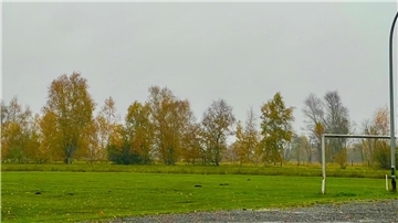 Nach illegaler Sprengfalle - Findorfer Familie bleibt auf hohen Kosten sitzen Illegal installierte Wühlmaus-Fallen auf dem Findorfer Bolzplatz wurden im Sommer 2023 einem damals achtjährigen Jungen zum Verhängnis.