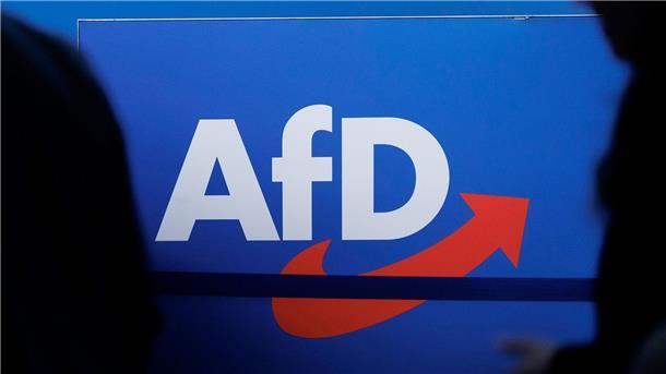 Im aktuellen ARD-„Deutschlandtrend“ erzielt die AfD mit 21 Prozent einen neuen Höchstwert.