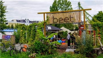 Das „Beet“ auf dem Zollinlandplatz.