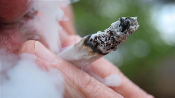 Cannabis: Experte hält Gefahr durch Passivrauchen für gering Im Freien besteht die Rausch-Gefahr durch Passivrauch „quasi überhaupt nicht“