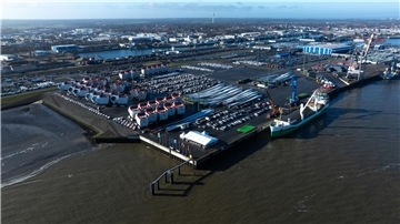 Im Hafen von Cuxhaven wurde ein toter Zwergwal entdeckt. (Symbolfoto)