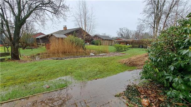 Sandstedter Deich: Grundstücke wegen kaputter Pumpe unter Wasser? Im Hintergrund das Haus von Marita Manzi mit dem nassen Garten. Im Vordergrund der nasse Fußweg zum Haus ihres Nachbarn.