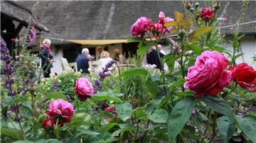 Im Juni können Gartenfreunde an jedem Wochenende in der Wesermarsch schöne Gärten besuchen.