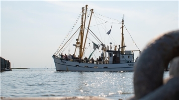 Kutter im Hafen