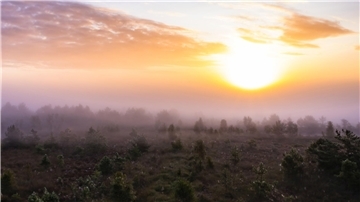 Blick auf eine Landschaft im Nebel.