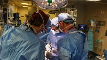 Im Massachusetts General Hospital haben Ärzte einem Patienten eine Schweineniere transplantiert.