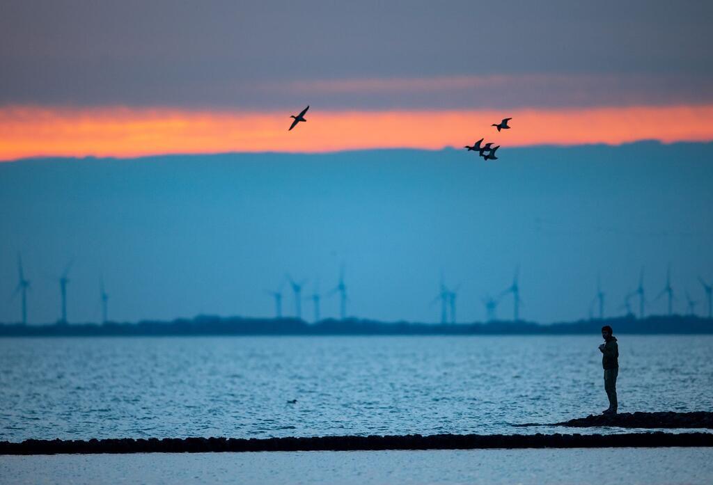 Im Nationalpark Niedersächsisches Wattenmeer beginnen bald die Zugvogeltage. (Archivbild)