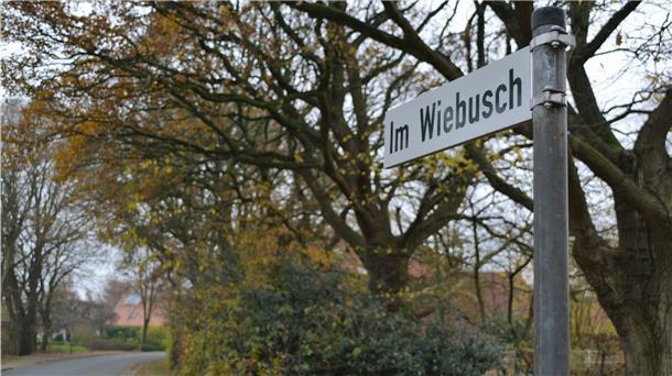 Im nördlichen Bereich des "Wiebusch" soll ein Baugebiet entstehen.